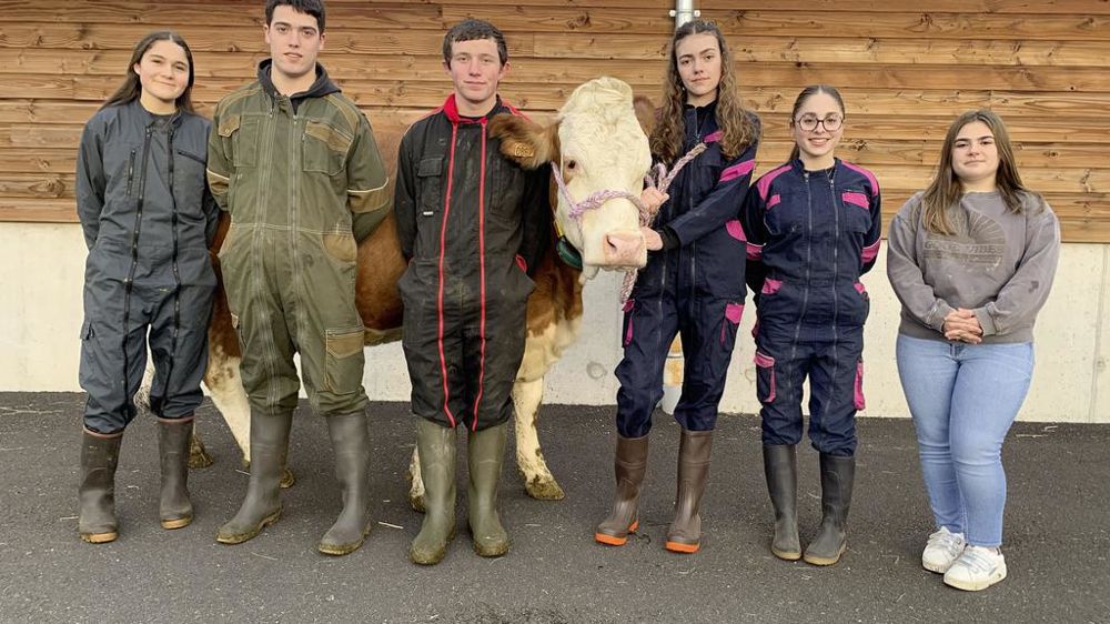 Aller à Paris, découvrir le salon de l’agriculture, rencontrer d’autres jeunes, interroger des professionnels, etc., les motifs de participer au TIEA sont nombreux pour Camille, Lola, Marion, Méline, Killian, Jérémy et Samuel.